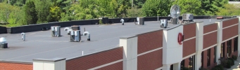Central Park EPDM rubber