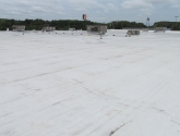 commercial TPO roof